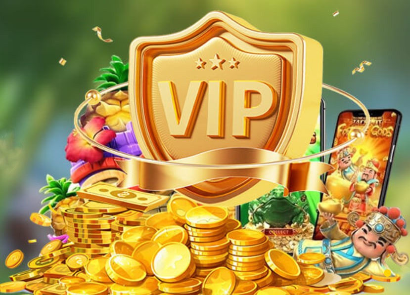 vip66